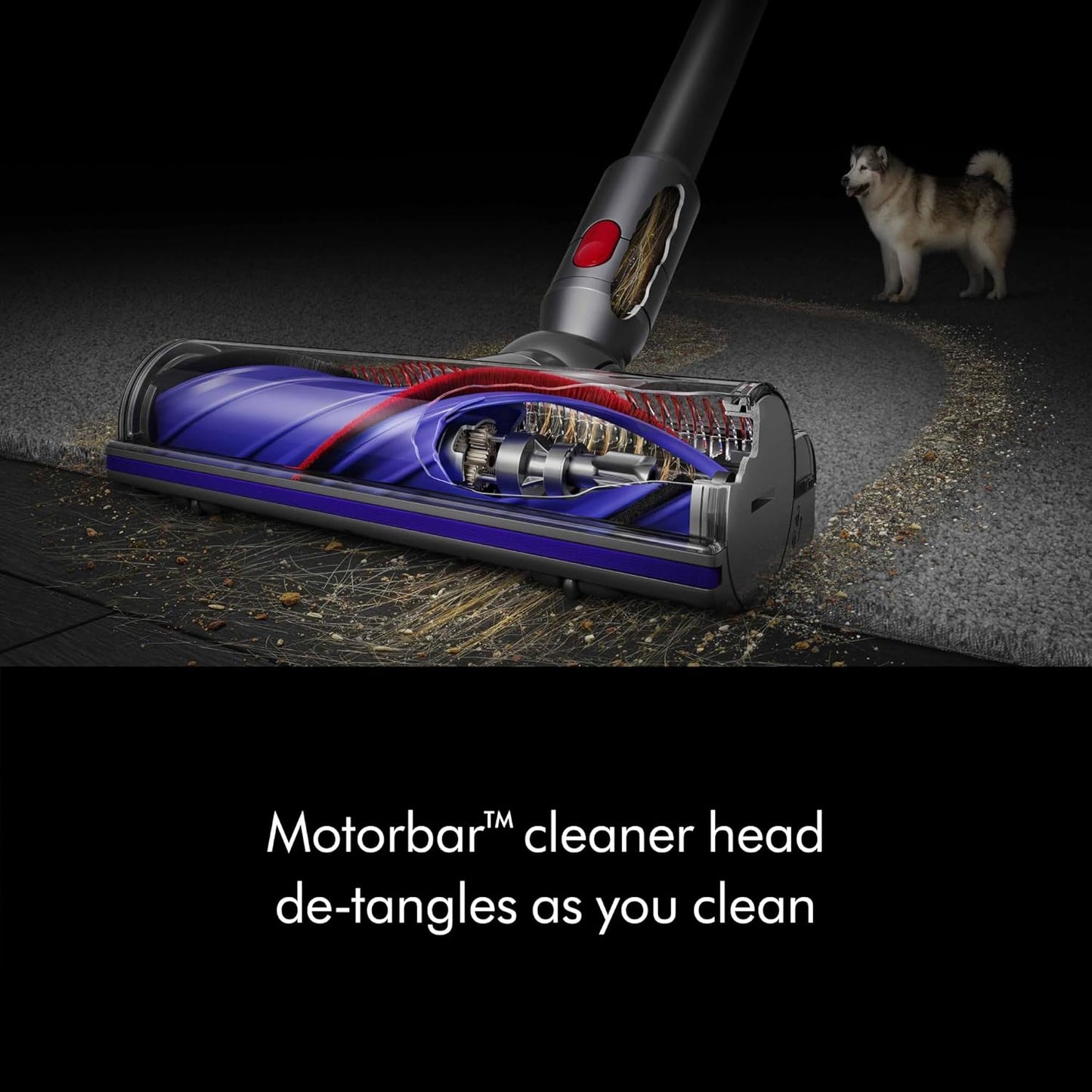 Dyson V8 Cordless Vacuum – Hard Floors & Carpets, Converts to Handheld, 115AW